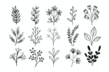 A set of wildflowers Floral branches and minimalist leaves for logos or tattoos. Hand-drawn line wedding herb, elegant wildflowers. Minimal line art drawing for print, cover, or wallpaper