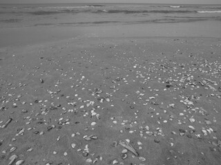 Am Strand von Egmond in Holland
