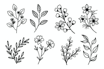 A set of wildflowers Floral branches and minimalist leaves for logos or tattoos. Hand-drawn line wedding herb, elegant wildflowers. Minimal line art drawing for print, cover, or wallpaper