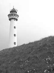 Am Strand von Egmond in Holland