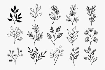 A set of wildflowers Floral branches and minimalist leaves for logos or tattoos. Hand-drawn line wedding herb, elegant wildflowers. Minimal line art drawing for print, cover, or wallpaper