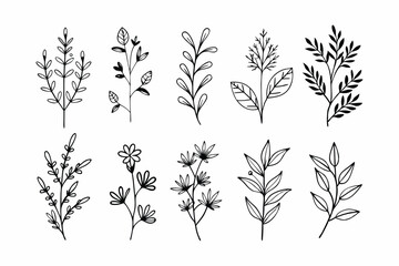A set of wildflowers Floral branches and minimalist leaves for logos or tattoos. Hand-drawn line wedding herb, elegant wildflowers. Minimal line art drawing for print, cover, or wallpaper