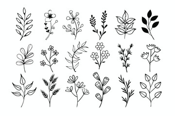 A set of wildflowers Floral branches and minimalist leaves for logos or tattoos. Hand-drawn line wedding herb, elegant wildflowers. Minimal line art drawing for print, cover, or wallpaper
