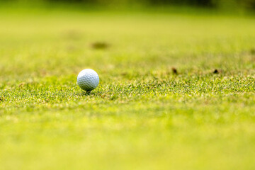 Golf ball on the golf course