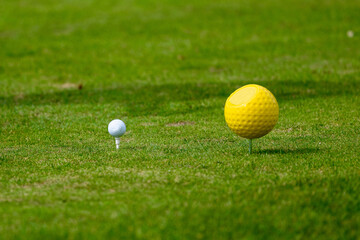 Golf ball on the golf course