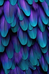 Fototapeta premium Colorful feathers pattern abstract background. Textile and fashion concept. Illustration for wallpaper, design, textile. Close-up of gradient plumage texture