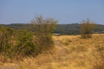 Beautiful landscape - Mohelenska hadcova steppe nature reserve