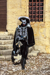 Disguised Person - Annecy Venetian Carnival 2014