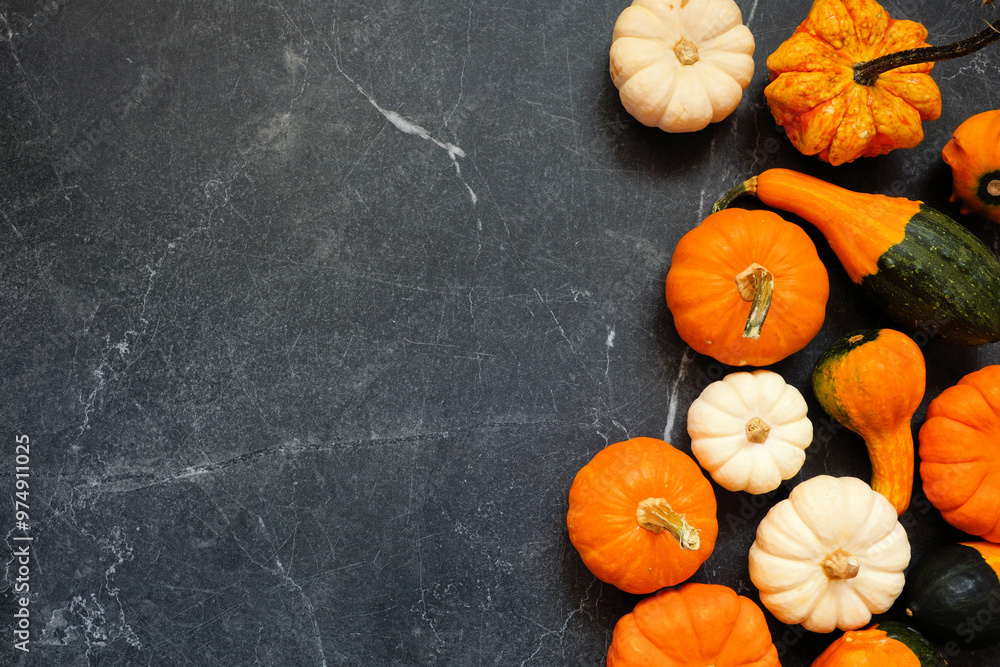 Poster Autumn side border of pumpkins and gourds. Top view on a dark stone background with copy space.