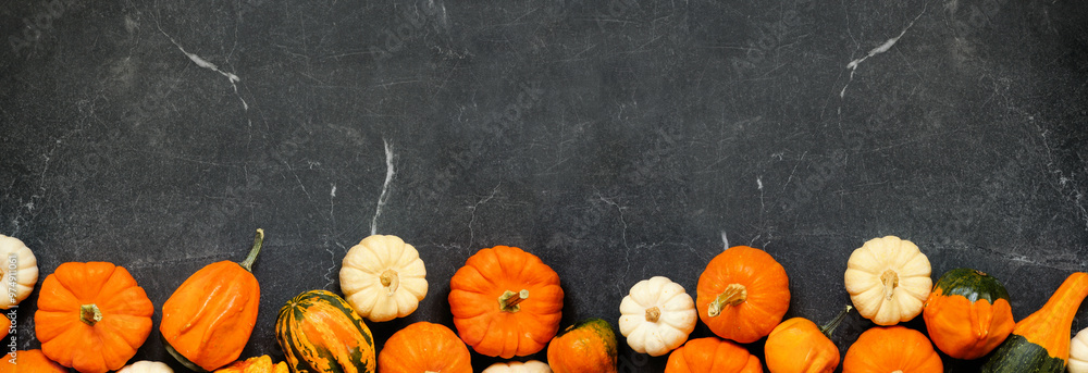 Poster Autumn bottom border of pumpkins and gourds. Top down view on a dark stone background with copy space.