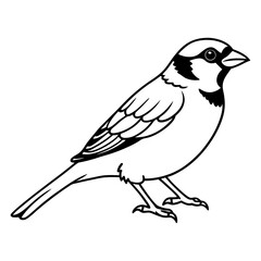 Obraz premium Sparrow line art vector, silhouette ,line cut , black and white line draw