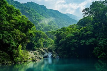 A lush green forest with a stream running through it. The water is clear and calm, reflecting the...