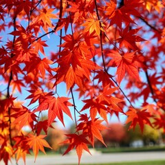 Vibrant autumn forest maple leaves High Quality AI Generated Image