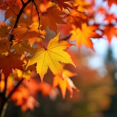 Vibrant autumn forest maple leaves High Quality AI Generated Image