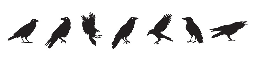 Crow isolated black silhouette set. Crows, raven halloween Dark birds icon clipart