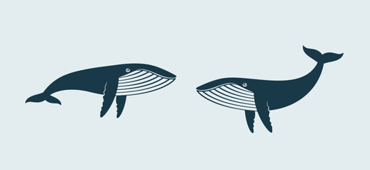 Whale logo. Isolated whale on blue  background