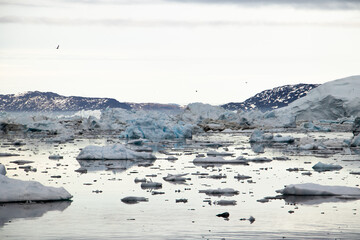 Scenic view of icebergs floating in Disko Bay, Greenland with distant mountains, Arctic landscape