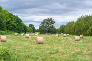 hay bales in the field in Loire region of France