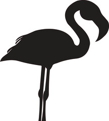 Obraz premium flamingo 