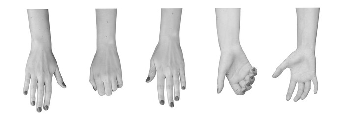 Taking, holding, grasping hands gestures set isolated on white background.