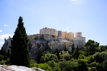 Fototapeta premium Panoramic view over the Acropolis and the temple of the Parthenon with a tall green cypress tree in the foreground in Athens, Greece, Europe.