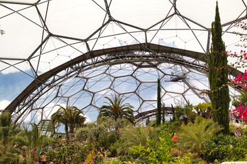Indoor Botanical Garden Under Geodesic Dome at Eden Project in Cornwall, UK