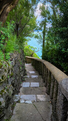 Path in the cliffs of Biarritz