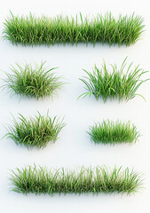 3D render of a grass border, with different angles and positions, on a white background