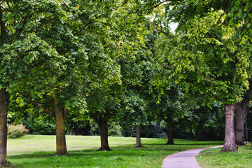 Lush Green Park Pathway in Harrogate, UK