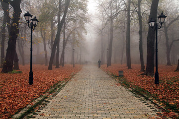 Autumn city park and people on a foggy alley. Late autumn. Alley, leading into the distance. An old...