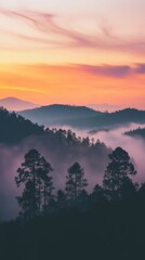 Naklejka premium Sunset over misty forest hills and trees, tranquil nature. Serene landscape and peaceful atmosphere concept