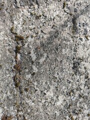 concrete wall