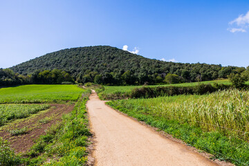 Paysage au alentours du volcan du Croscat dans le parc naturel de zone volcanique de la Garrotxa, en Espagne © Ldgfr Photos
