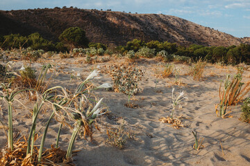 Dunes