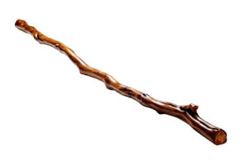 walking stick isolated on transparent background