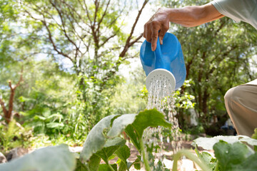 A man is watering a plant with a blue watering can. The scene is peaceful and serene, with the man taking care of the plant in a natural setting