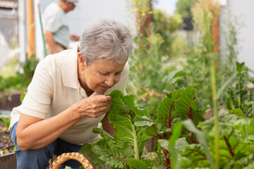 A woman is smelling a leafy green plant in a garden. The woman is wearing a white shirt and blue jeans