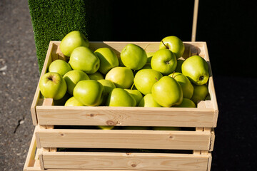 A crate filled with fresh green apples is currently resting on the ground