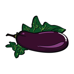 Eggplant vector with green leaves healthy vegetable