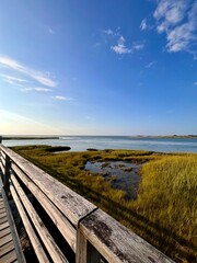 Fototapeta premium marsh view 