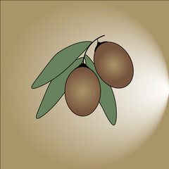 olives with leaves