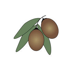 olives with leaves