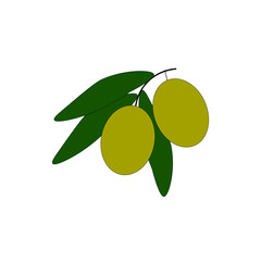 green olives with leaves