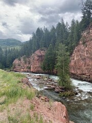 mountain river tree colorado