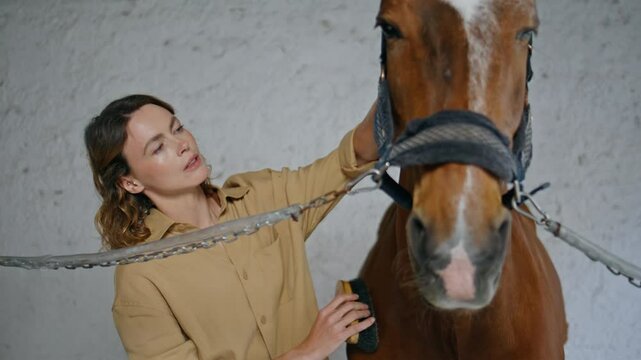 Gentle cowgirl cleaning horse light paddock closeup. Woman rubbing animal mane