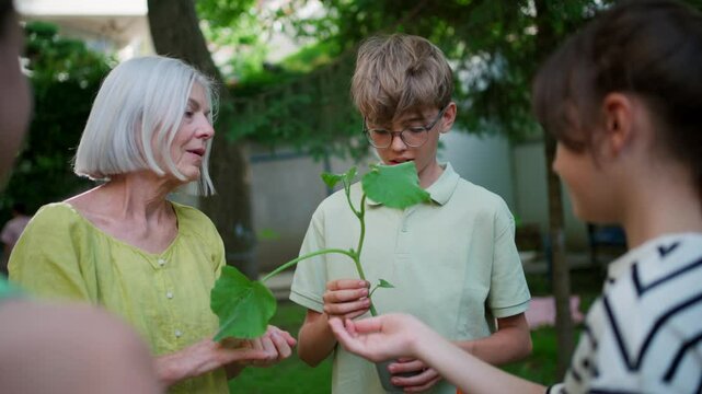 Students and female teacher at outdoor sustainable education class. Kids taking care of plants in school garden. Concept of experiential learning and ecoliteracy.