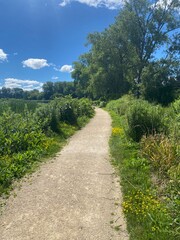 sunny hiking trail