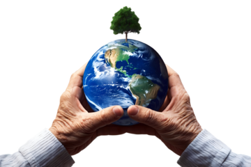 Old wrinkled hands holding planet earth, globe on the palm, eco environment, global connection, background, isolated on transparent background