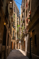 Historic streets the Gothic Quarter.