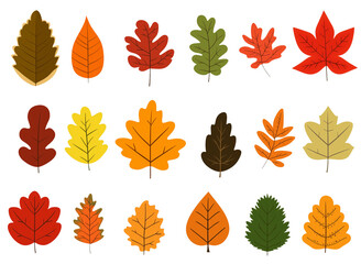 Autumn leaves isolated illustration set collection transparent background